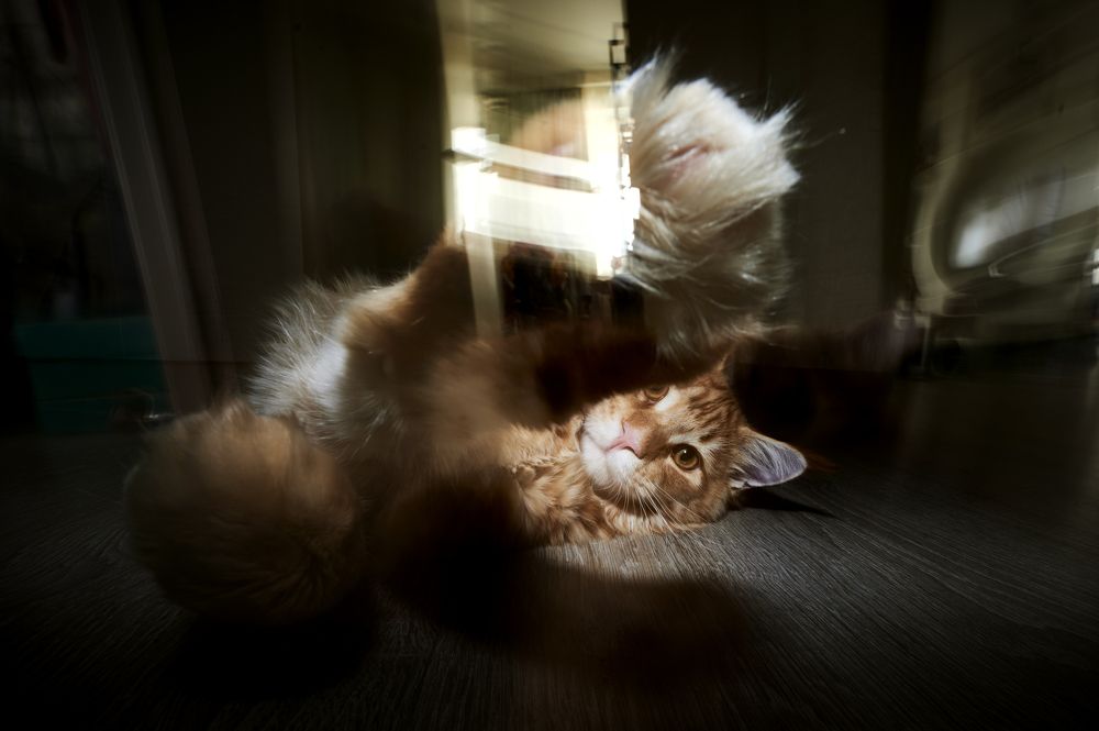 Photograph by Юлия Неструева