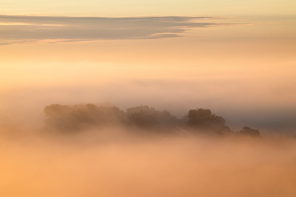Фотография автора Ivan