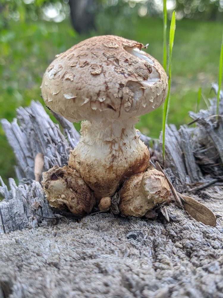 Фотография автора Наталья Синицына