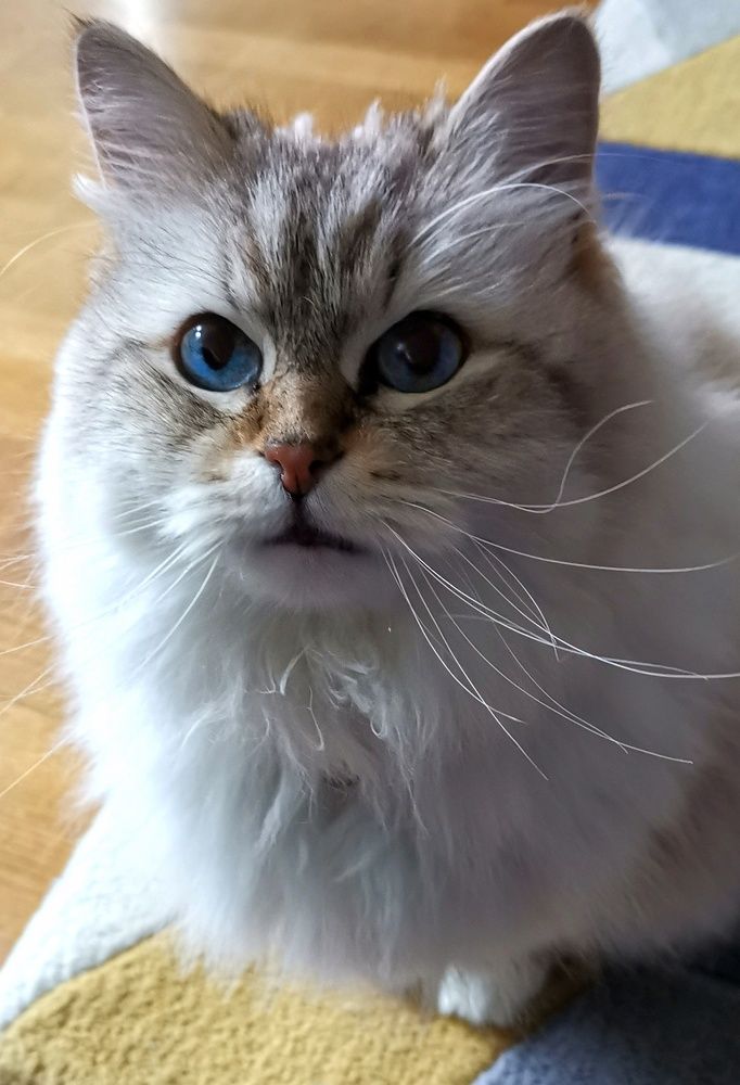 Photograph by Ингрида Кузнецова