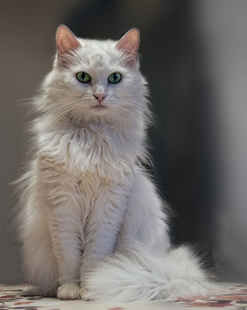 Photograph by Олег Тыркин