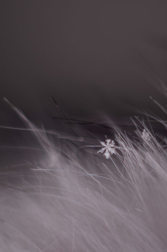 Photograph by  Екатерина Захарова