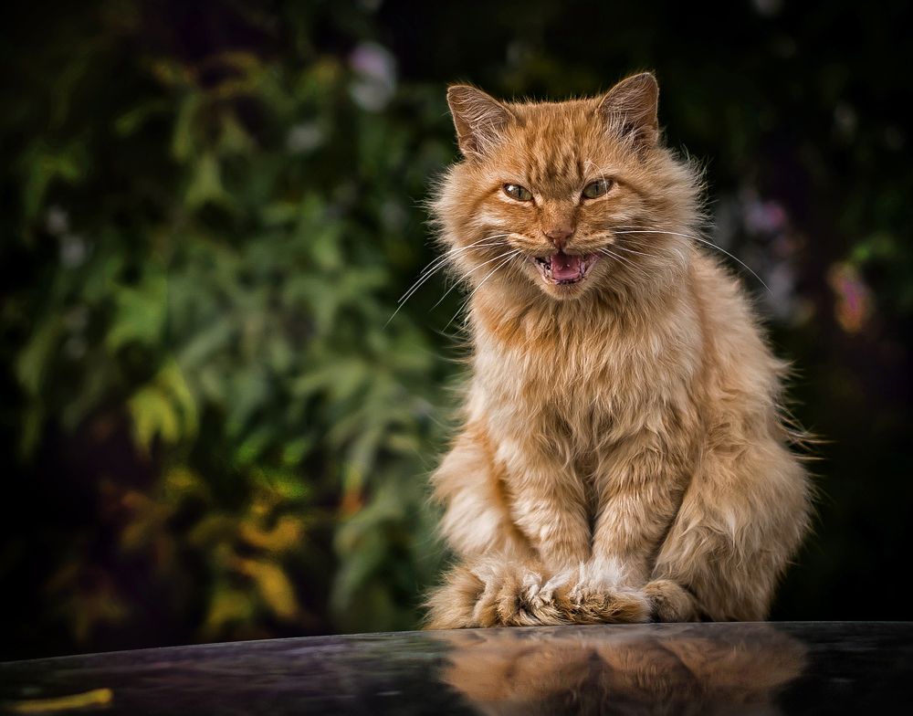 Photograph by Батурин Геннадий