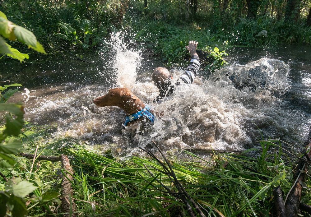 Фотография автора Сергей Сынтин