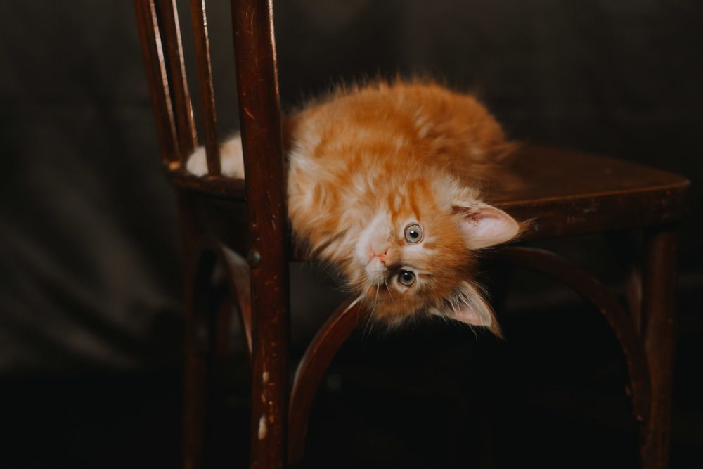 Photograph by Светлана Субботина