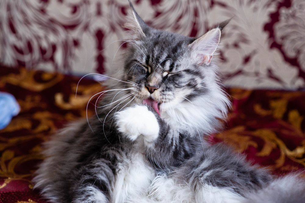 Photograph by Светлана Субботина