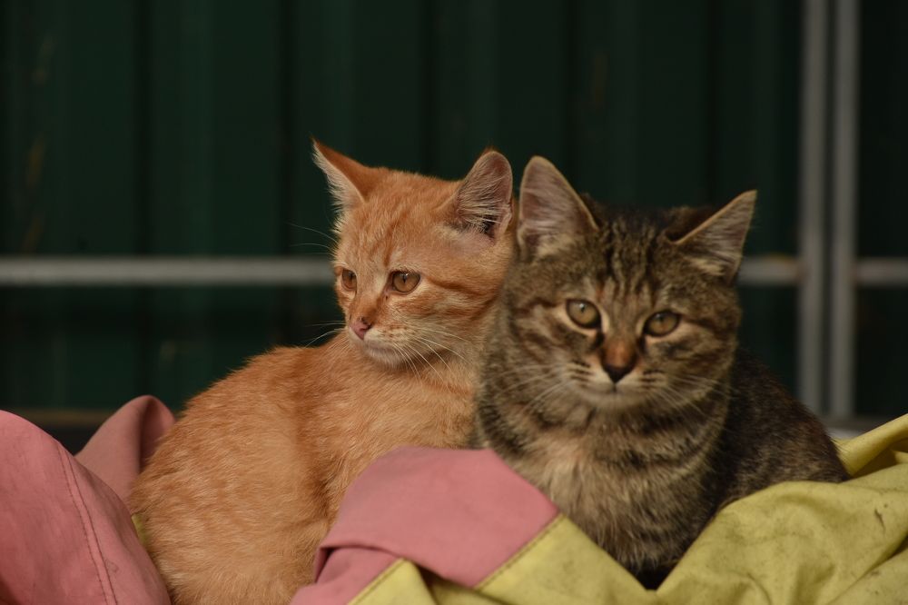 Photograph by Николай Жук