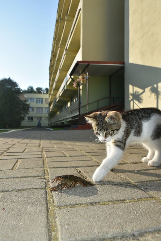 Photograph by Николай Жук