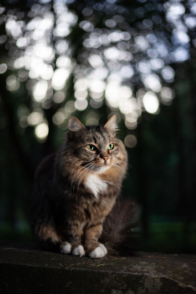 Photograph by Алан Гасымов