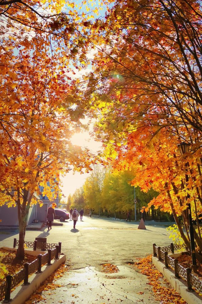 золото осени