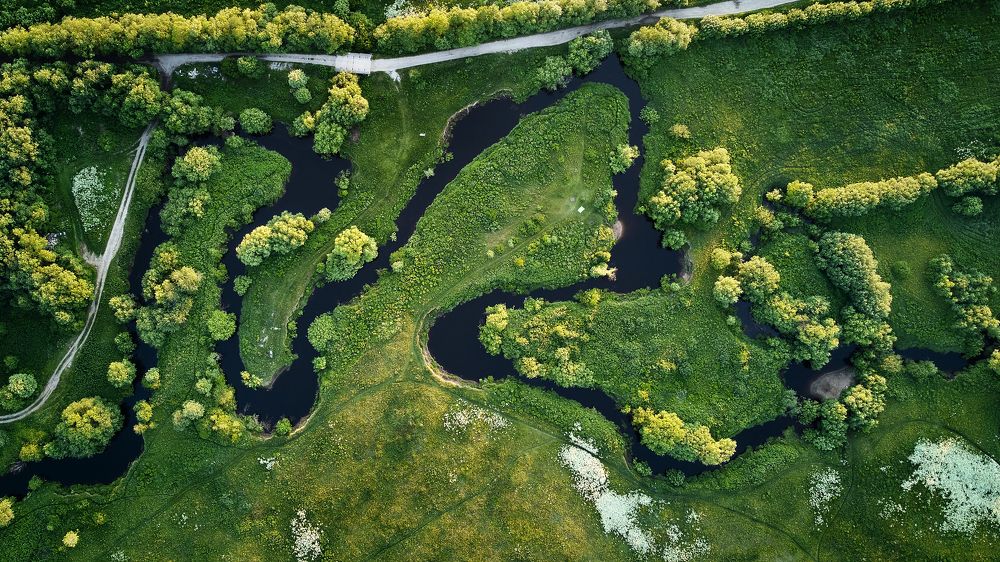 Photograph by Lisauskas Ilya