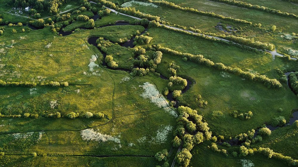 Photograph by Lisauskas Ilya