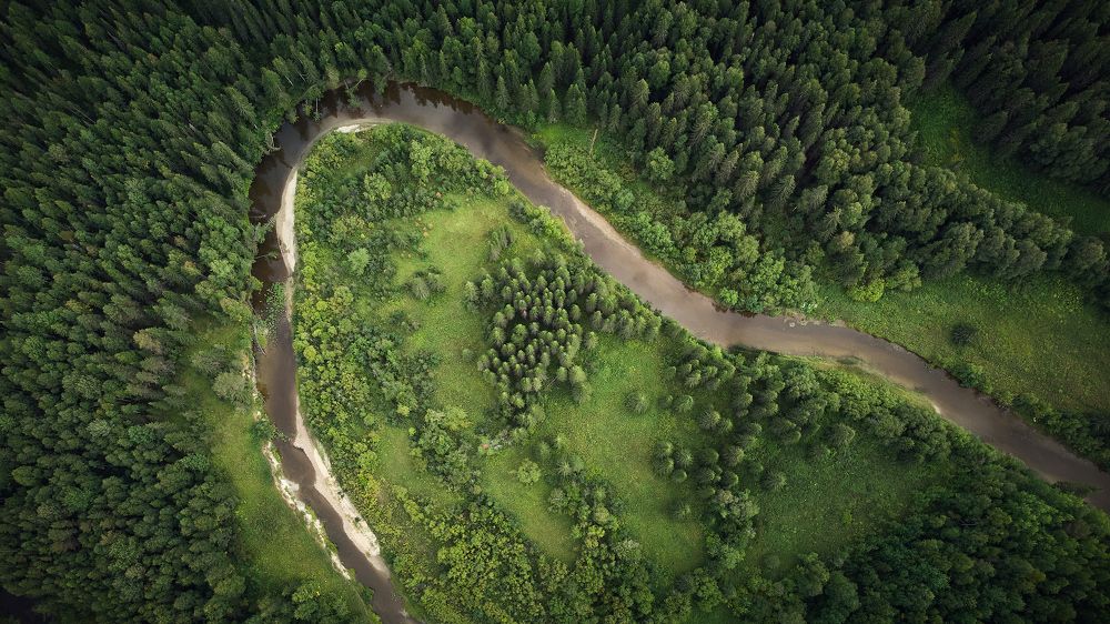 Photograph by Lisauskas Ilya