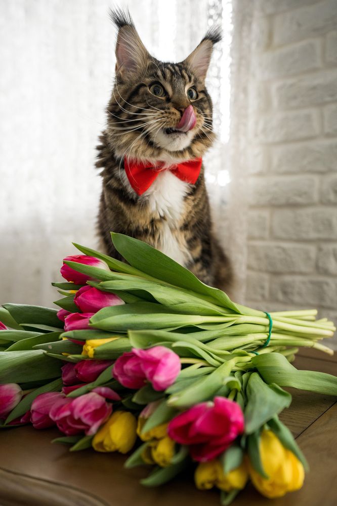 Photograph by Алан Гасымов