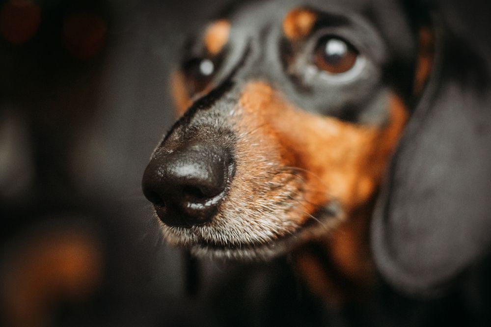 Photograph by Элла Алексеева