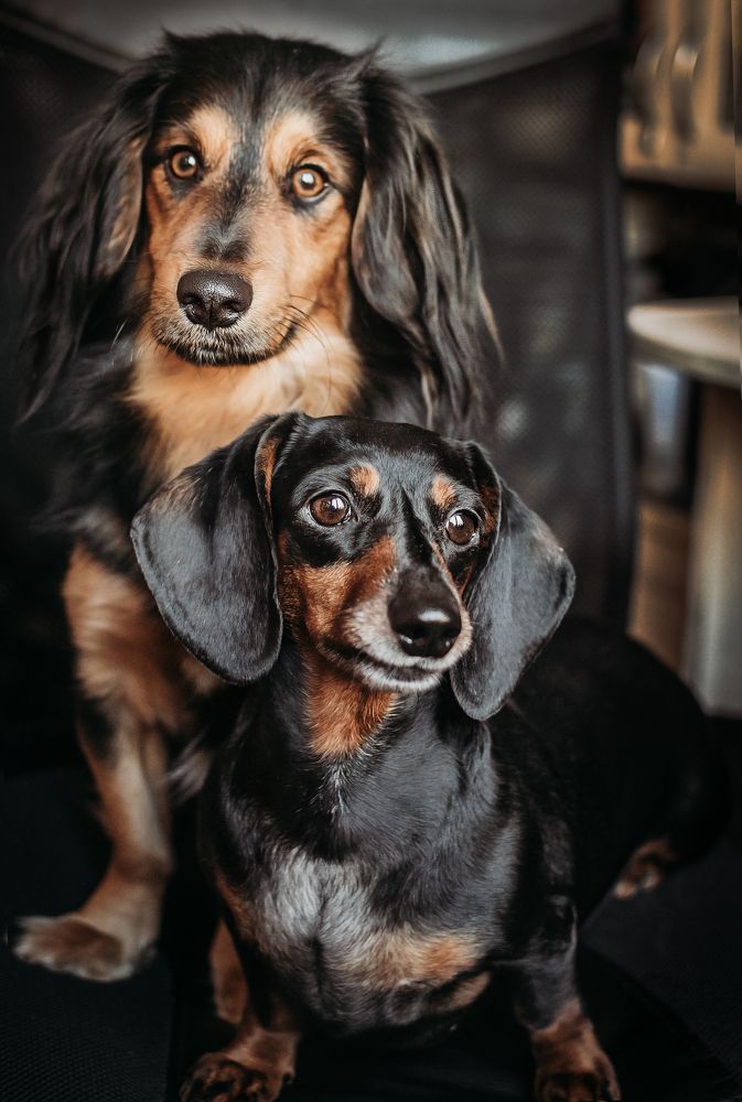 Photograph by Элла Алексеева