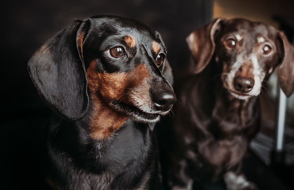 Photograph by Элла Алексеева