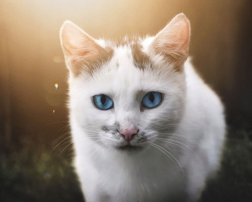 Photograph by Протасов Сергей