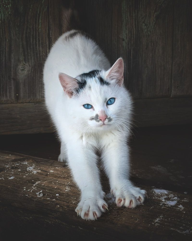 Photograph by Протасов Сергей