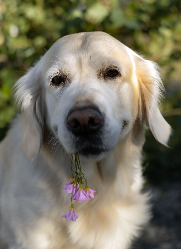 Photograph by Александр Трегубов