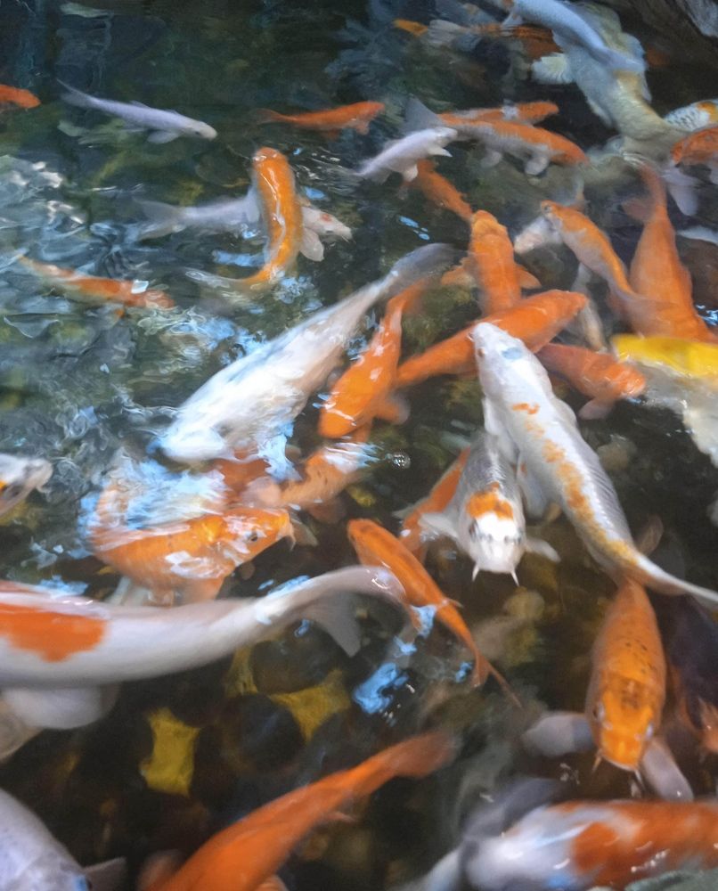 Photograph by Наталия Колемасова