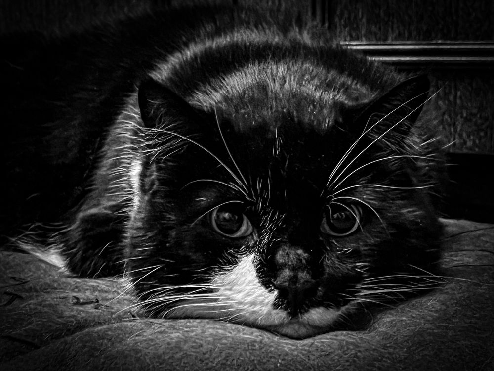 Фотография автора Снежана Вершинина