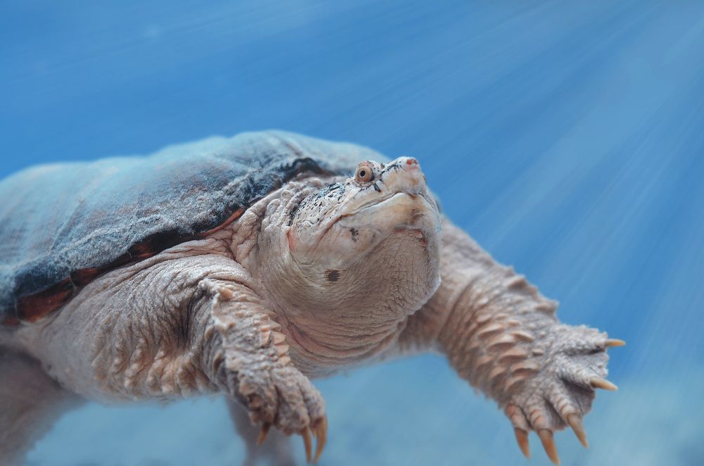 Photograph by Юлия