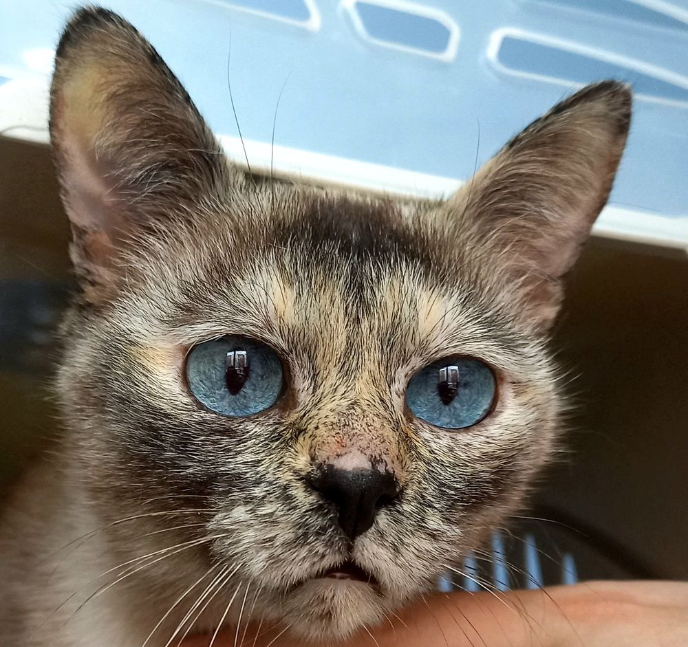 Photograph by Татьяна Масловская