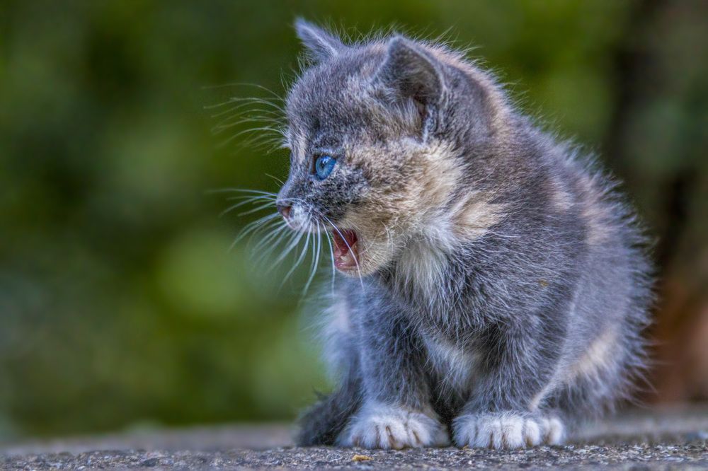 Photograph by Игорь Квочка