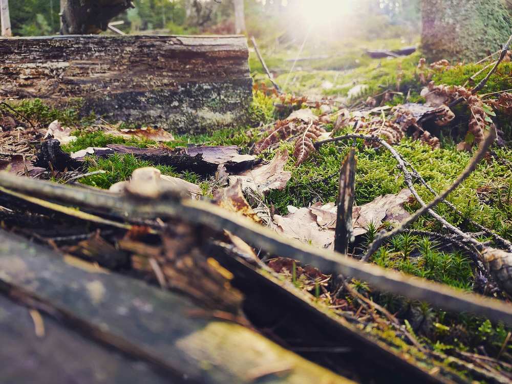Photograph by Anna Lisovskaia