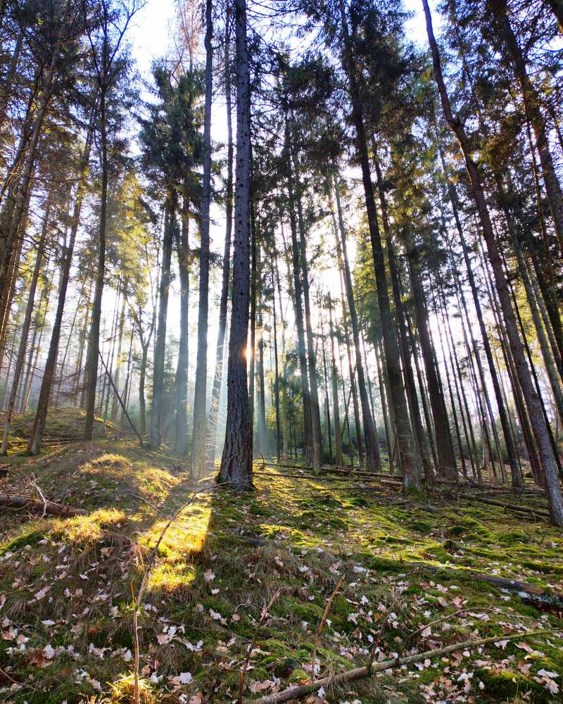 Photograph by Anna Lisovskaia