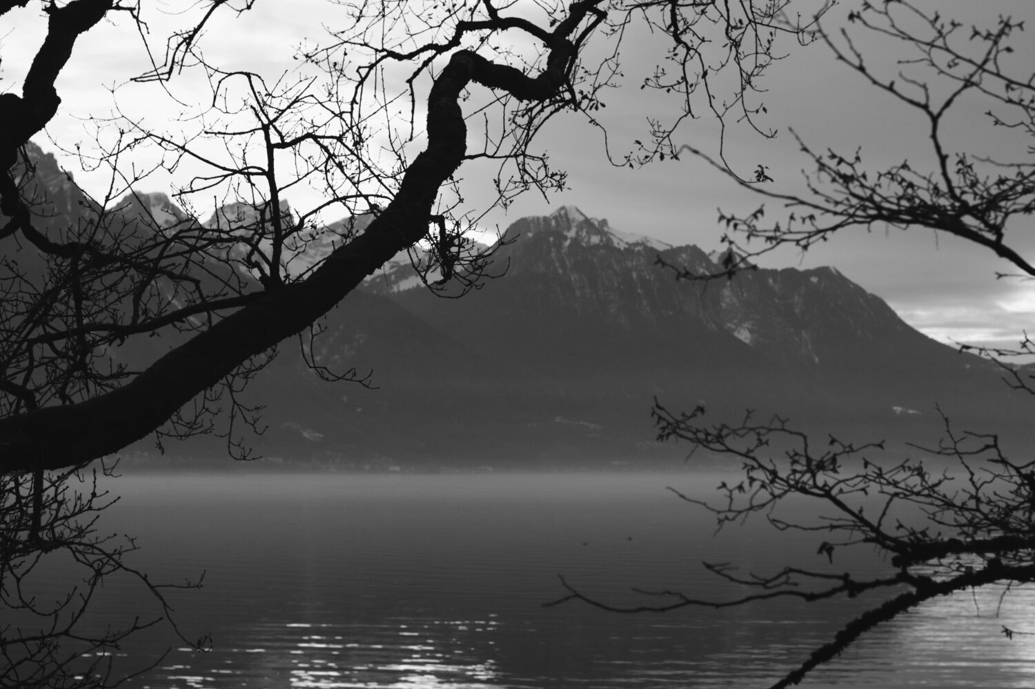 Photo #8984517