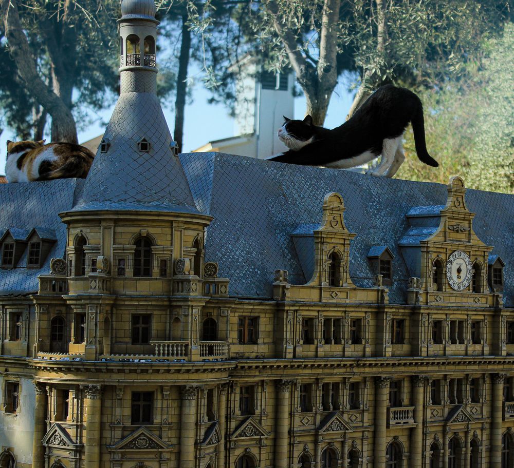 Photograph by Ирина Коновалова