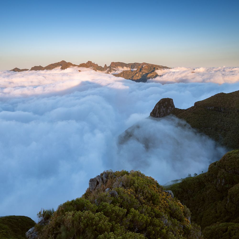 Photograph by Vasylius Vitalis