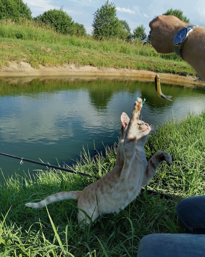 Photograph by Наталья Балабанова