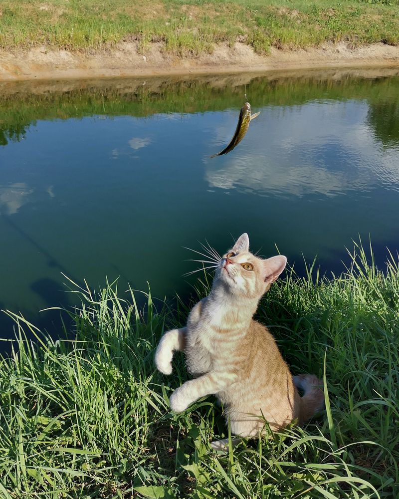 Photograph by Наталья Балабанова