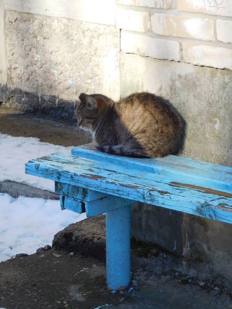 Photograph by Маша Худякова