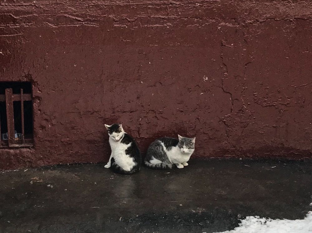 Photograph by Сергей