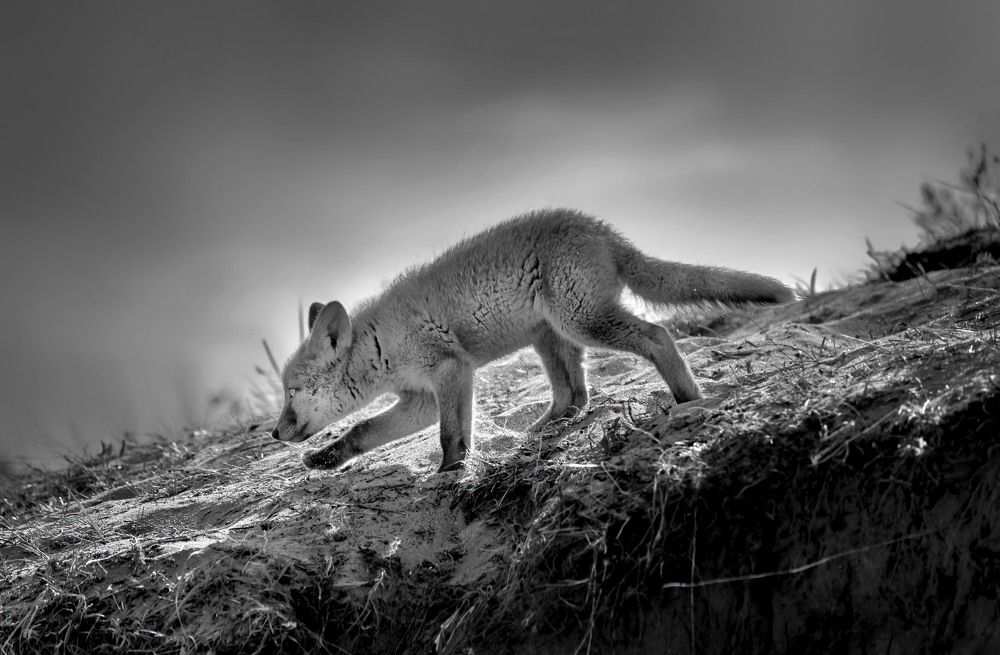 Photograph by Laima Kuriene