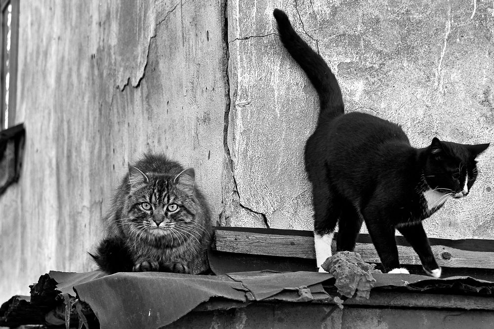 Photograph by Татьяна Кузьмина