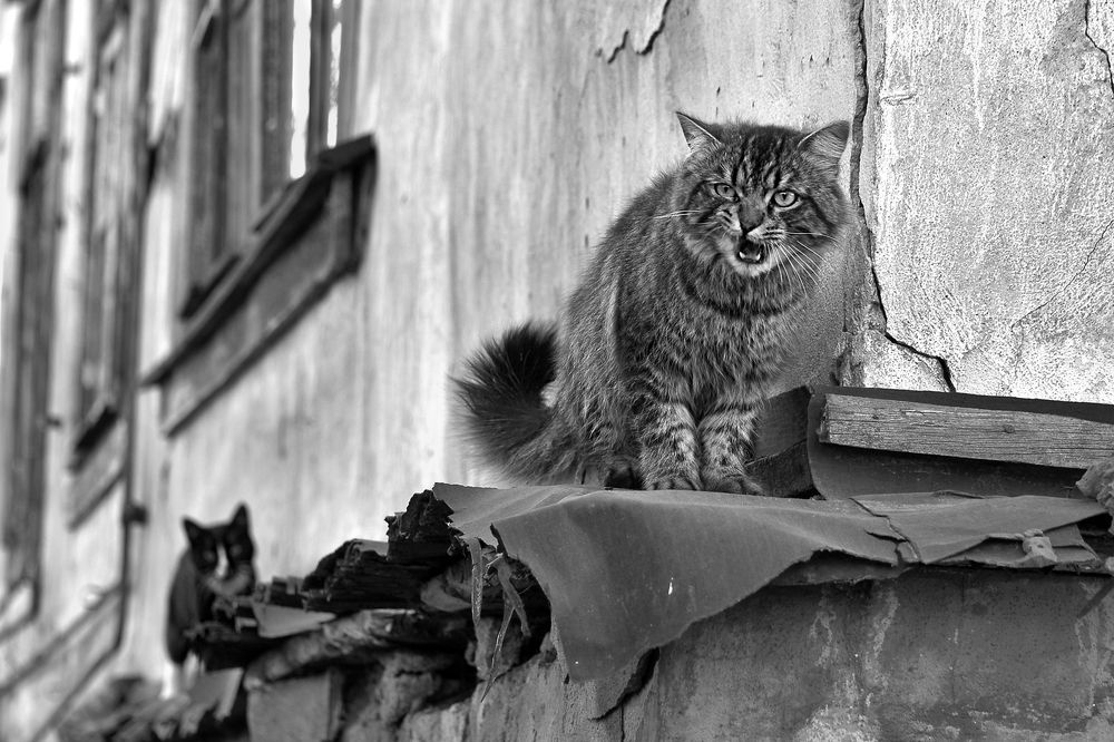 Photograph by Татьяна Кузьмина