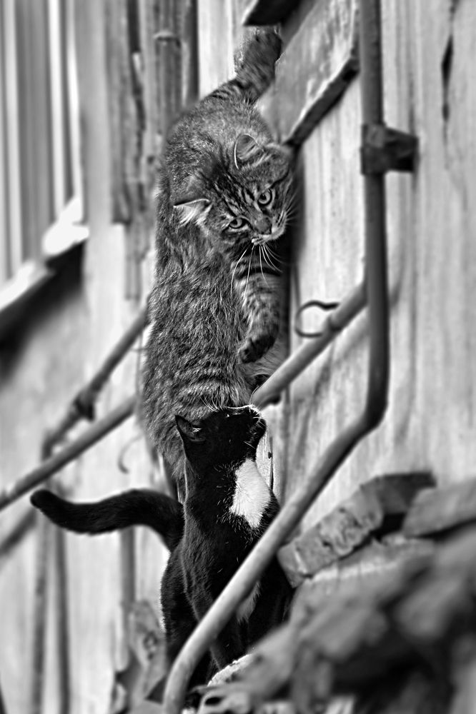 Photograph by Татьяна Кузьмина