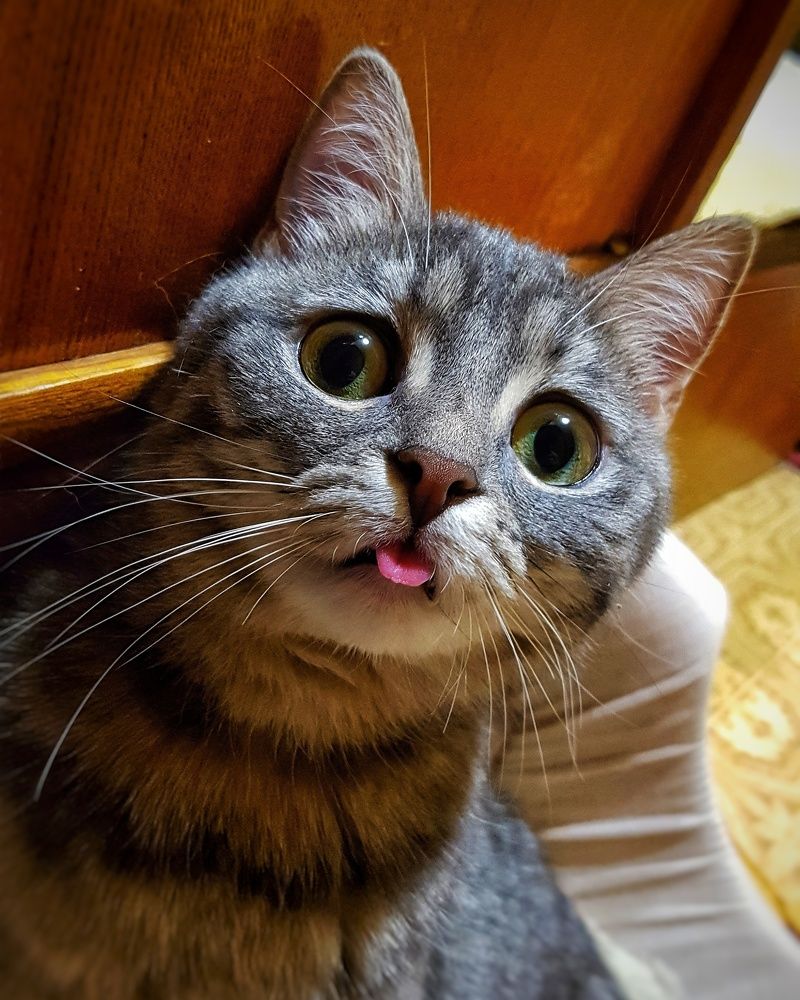 Photograph by Алина Логвиненко