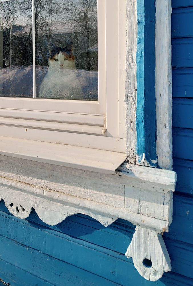 Photograph by Елена Алексеева