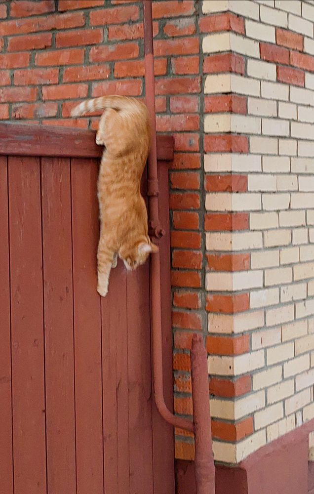 Photograph by Елена Алексеева