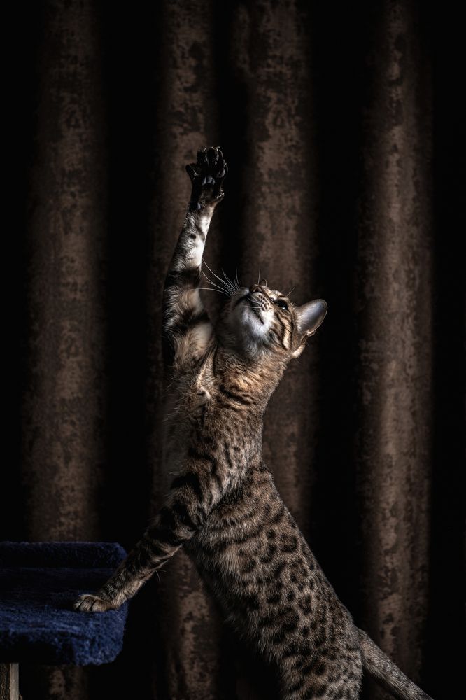 Photograph by Богдан Тарасов