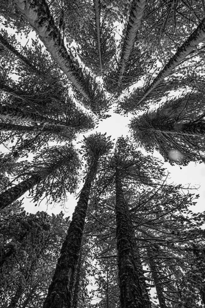 Photograph by Калинин Игорь