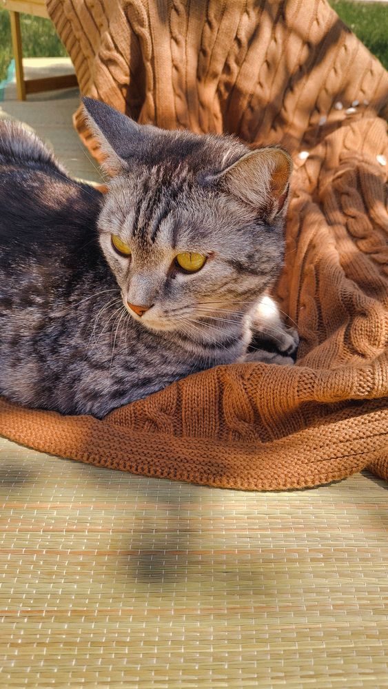 Photograph by Александра Кузнецова