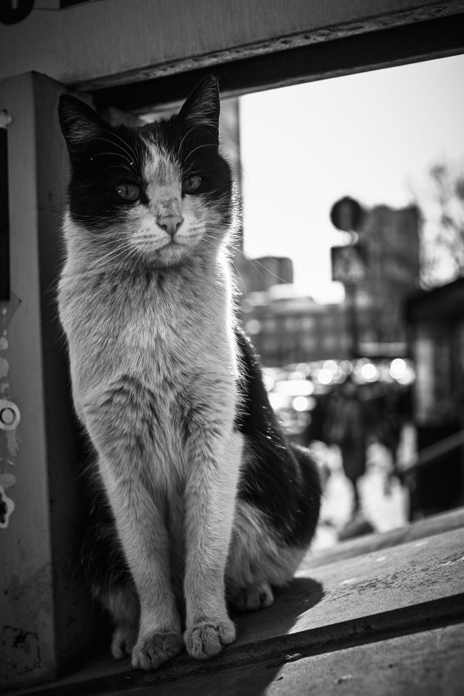 Photograph by Владислав Данилов