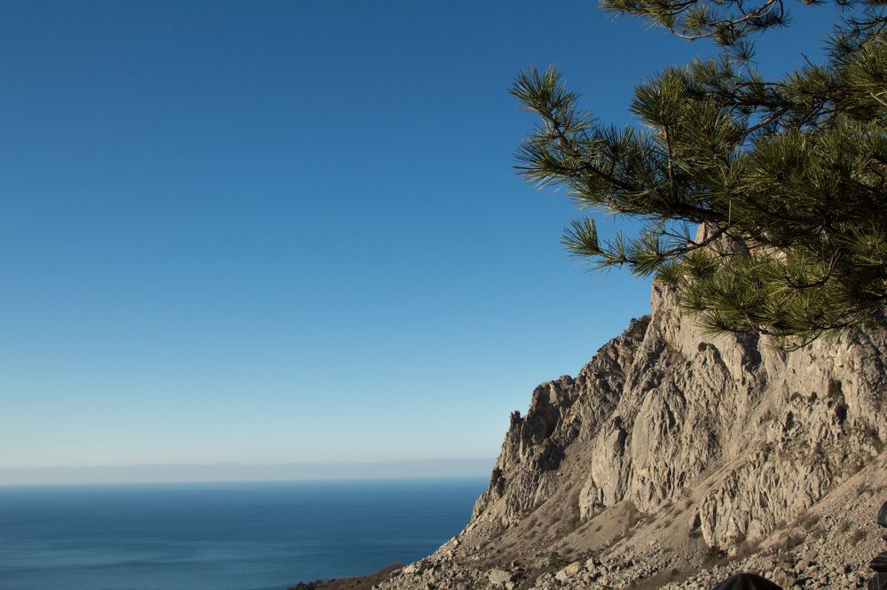 Photograph by Ольга